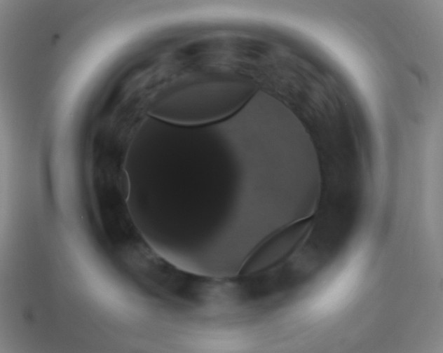 X0000113760239200910141054