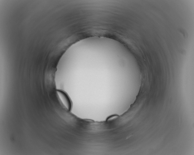 X0000113760240200910141054