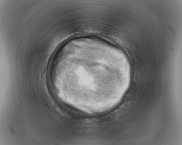 X0000113760241200910141054