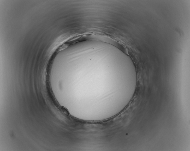 X0000113760242200910141054