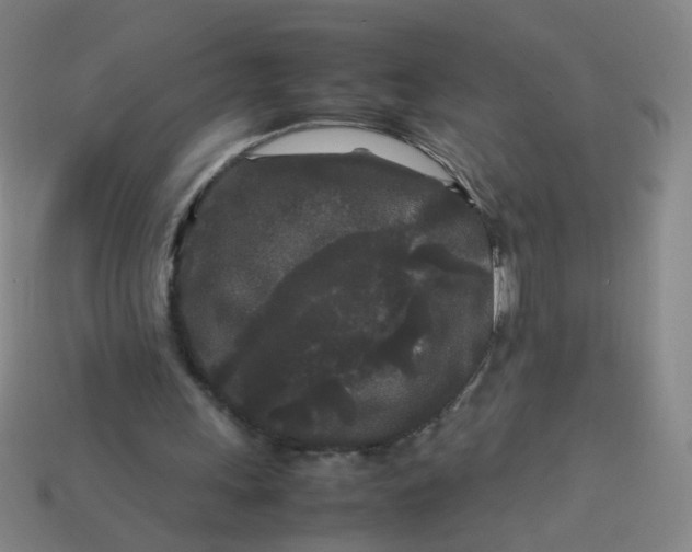 X0000113760243200910141054