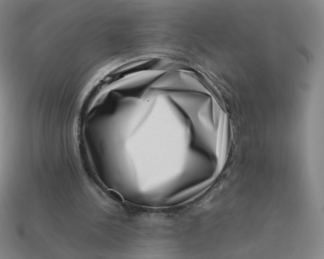 X0000113760244200910141054