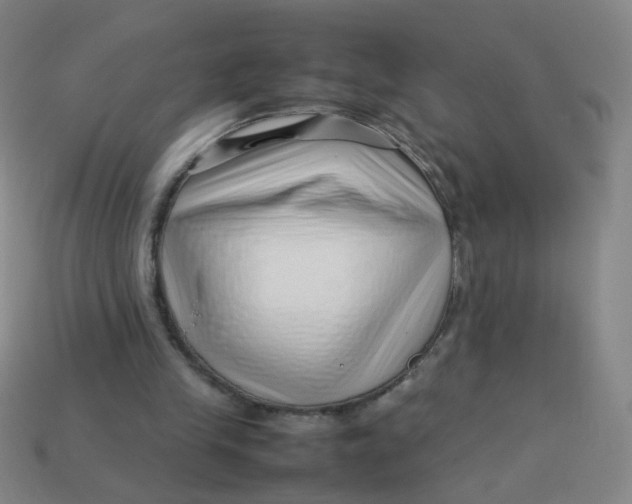 X0000113760245200910141054