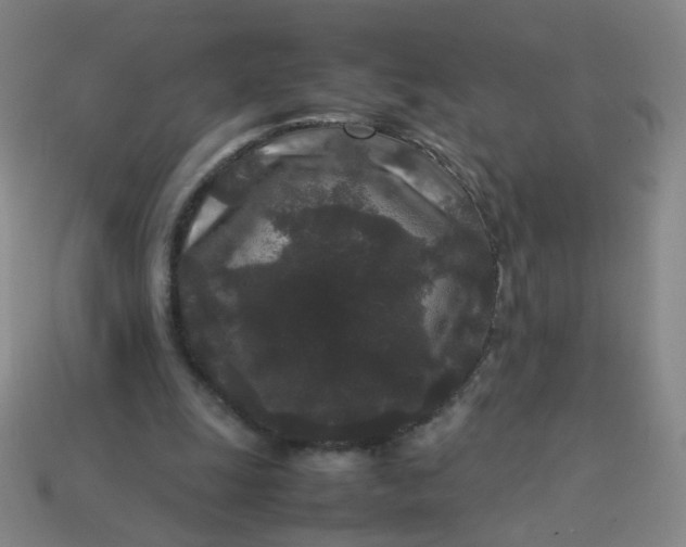 X0000113760247200910141054