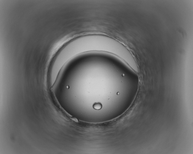 X0000113760248200910141054