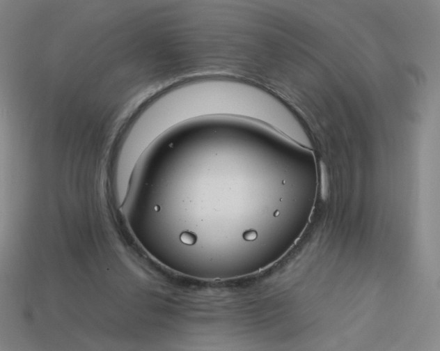 X0000113760252200910141054