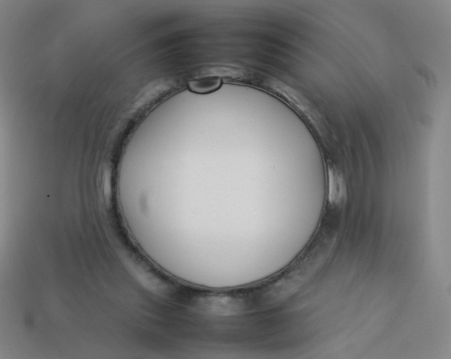 X0000113760253200910141054