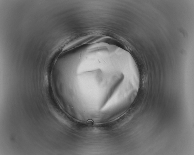 X0000113760254200910141054