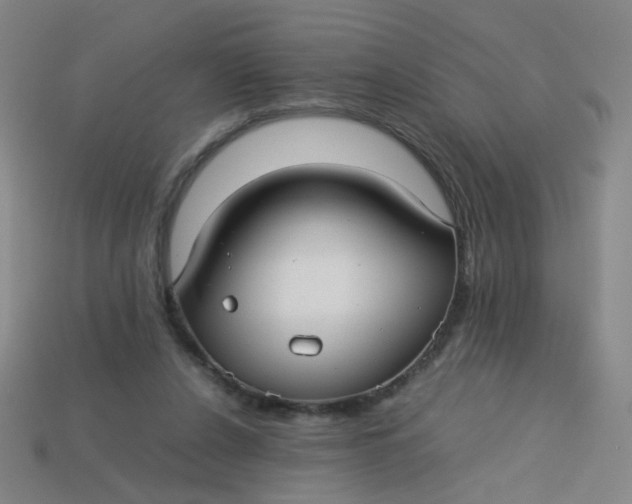 X0000113760256200910141054