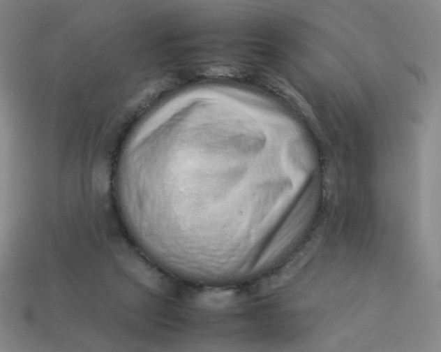 X0000113760257200910141054