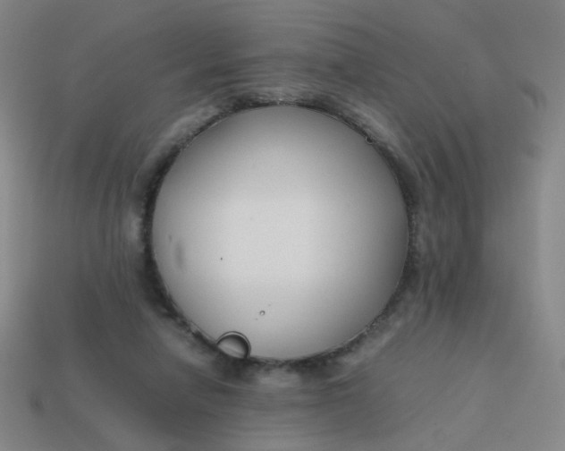 X0000113760258200910141054