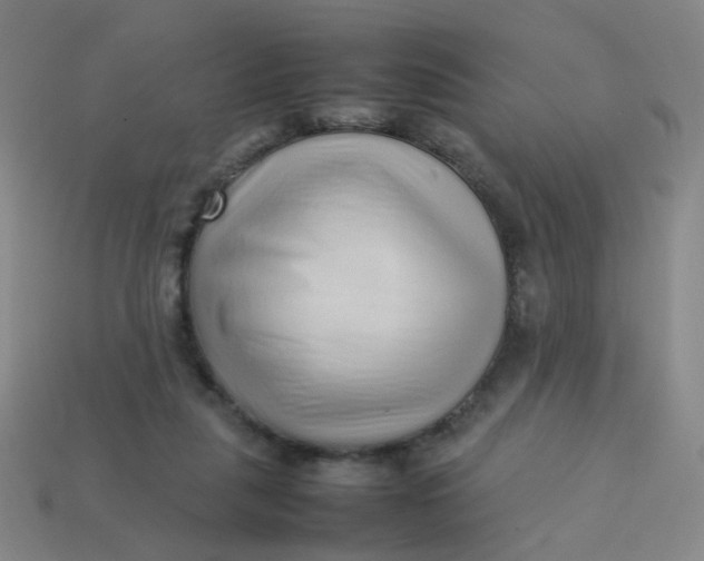 X0000113760259200910141054