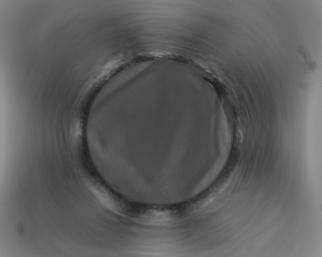 X0000113760260200910141054