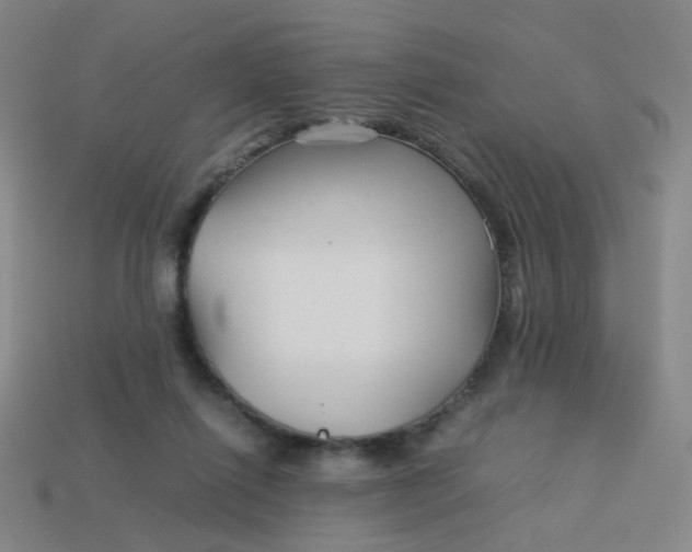 X0000113760262200910141054