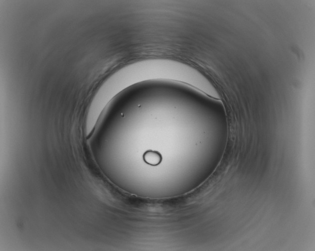 X0000113760264200910141054