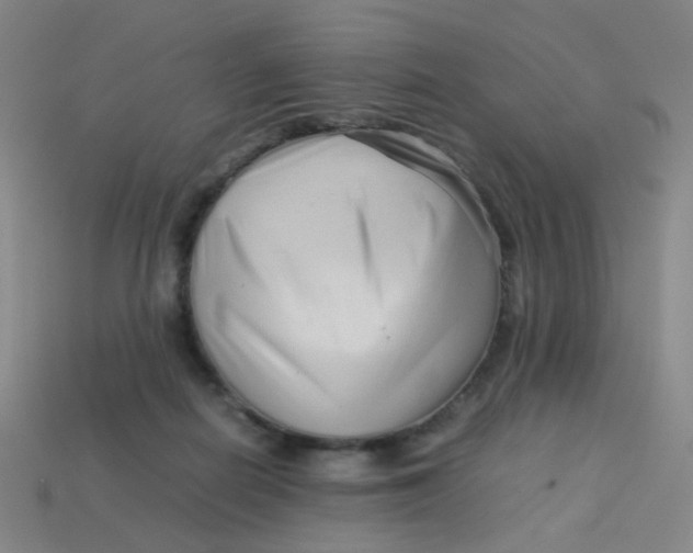 X0000113760266200910141054