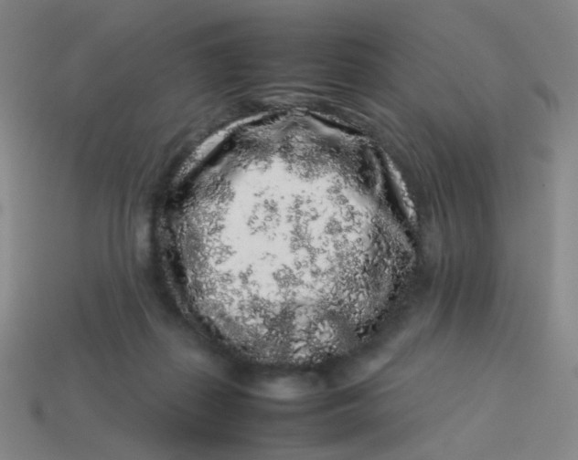 X0000113760267200910141054