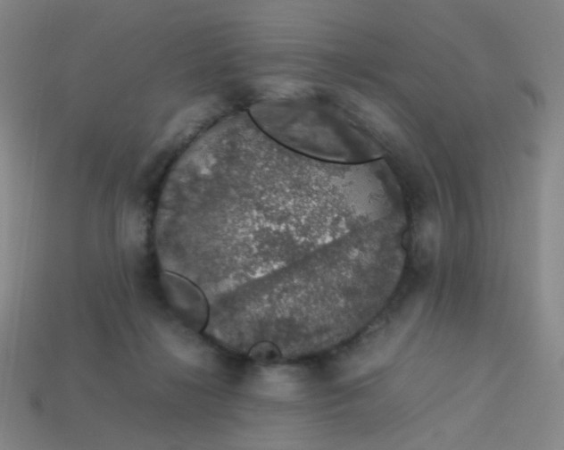 X0000113760268200910141054