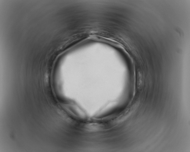 X0000113760269200910141054