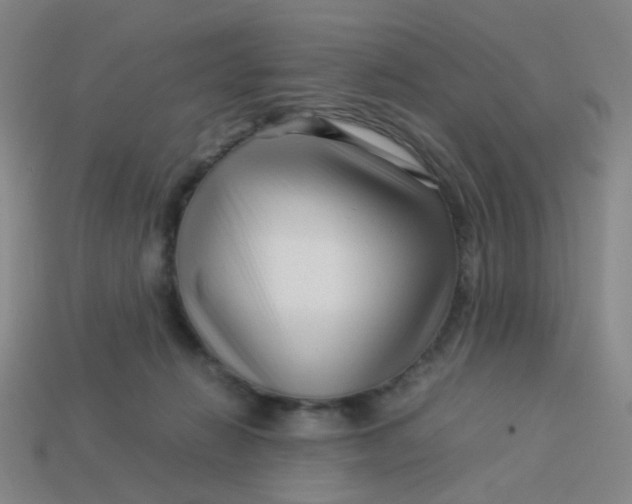 X0000113760270200910141054