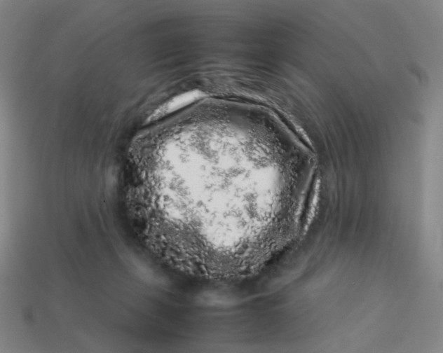 X0000113760271200910141054