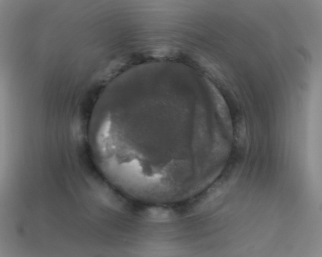 X0000113760272200910141054