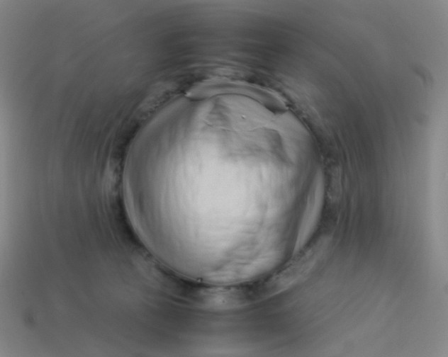 X0000113760273200910141054