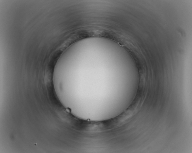 X0000113760274200910141054