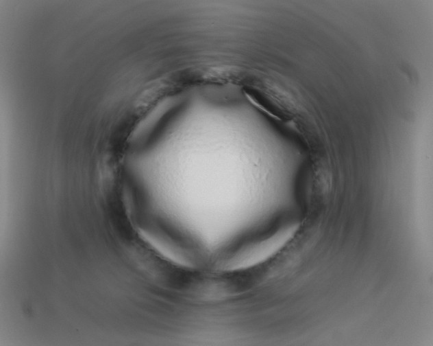 X0000113760276200910141054