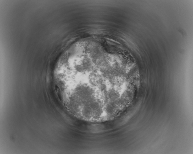 X0000113760277200910141054