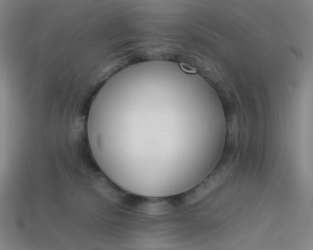 X0000113760278200910141054