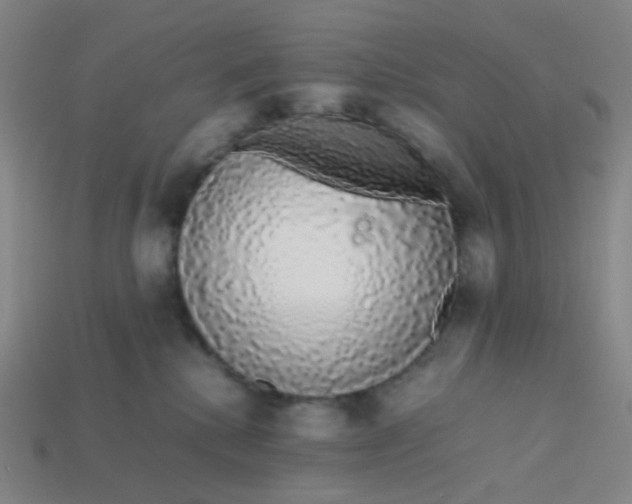 X0000113760280200910141054