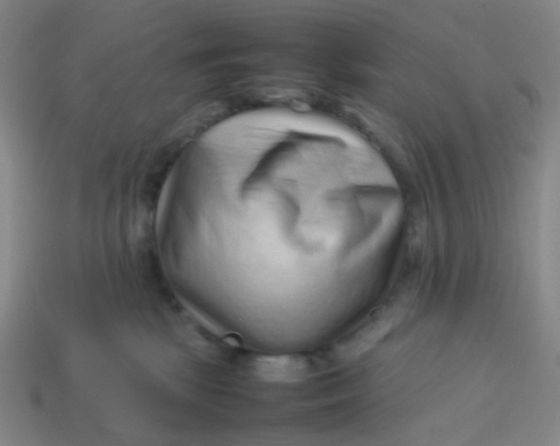 X0000113760281200910141054