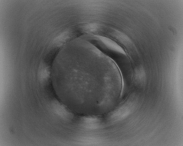 X0000113760284200910141054