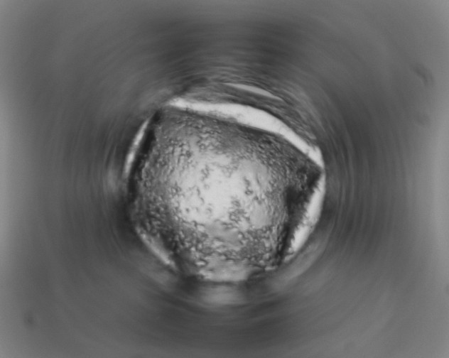 X0000113760285200910141054