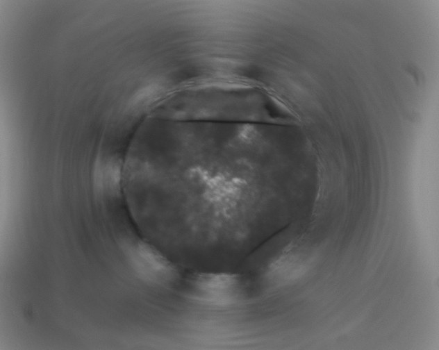 X0000113760288200910141054