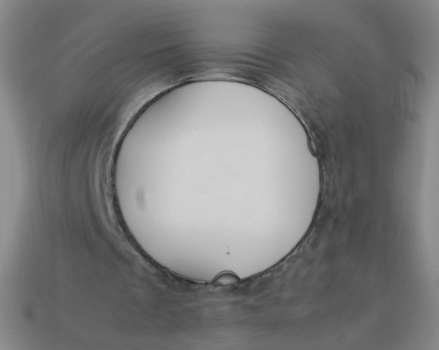 X0000113760289200910141054