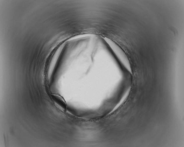 X0000113760290200910141054