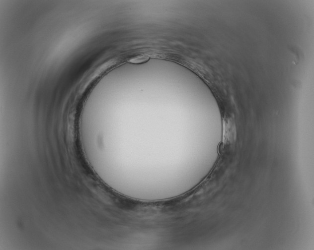 X0000113760291200910141054