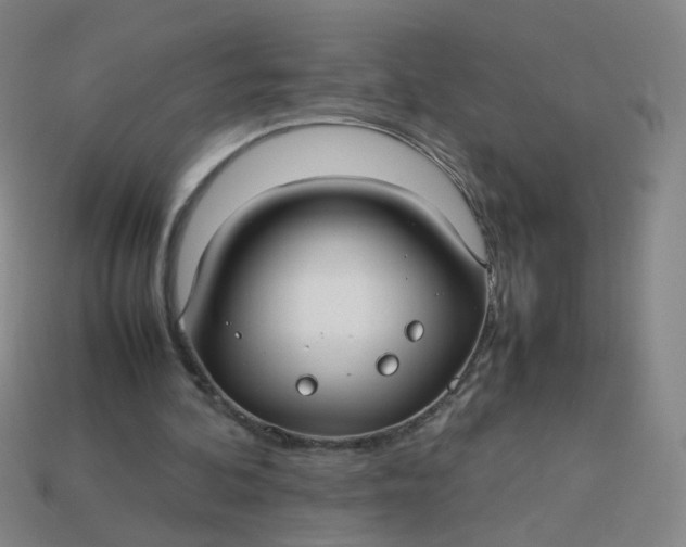 X0000113760292200910141054