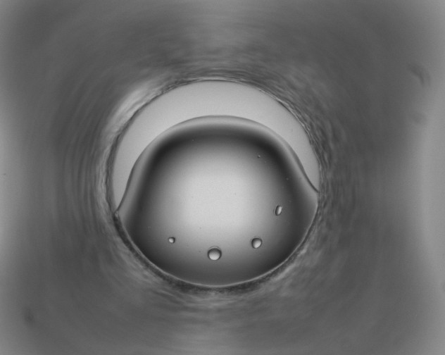 X0000113760293200910141054