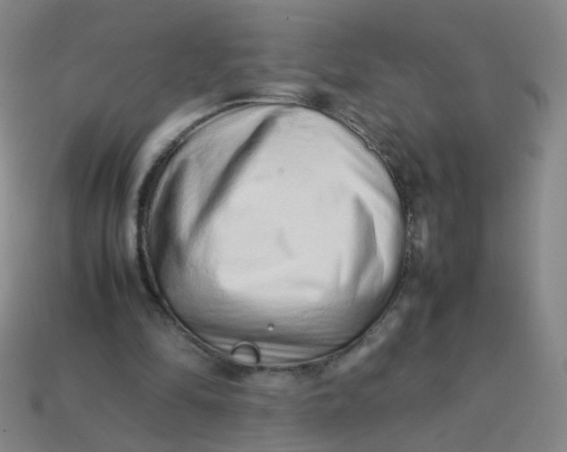 X0000113760294200910141054