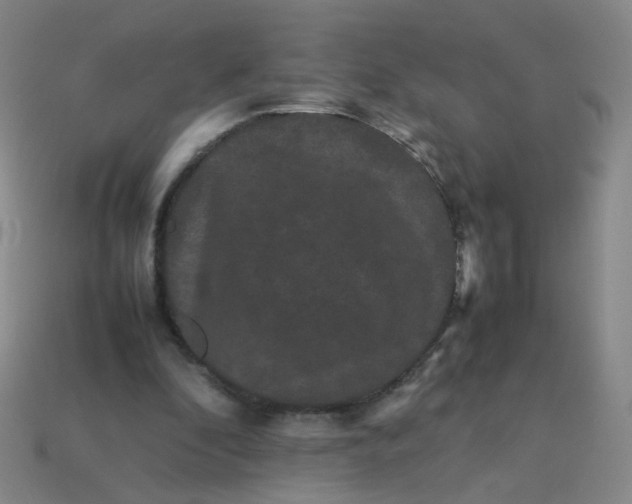 X0000113760296200910141054