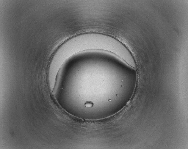 X0000113760297200910141054