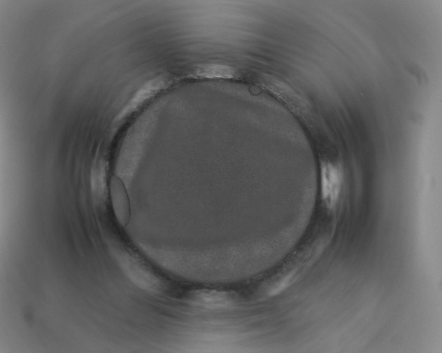 X0000113760300200910141054