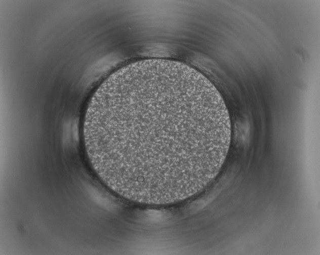 X0000113760302200910141054