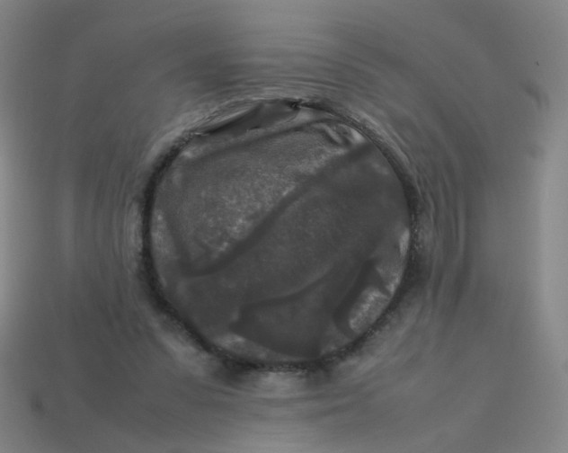 X0000113760303200910141054