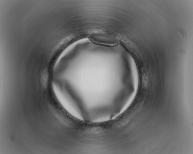 X0000113760304200910141054