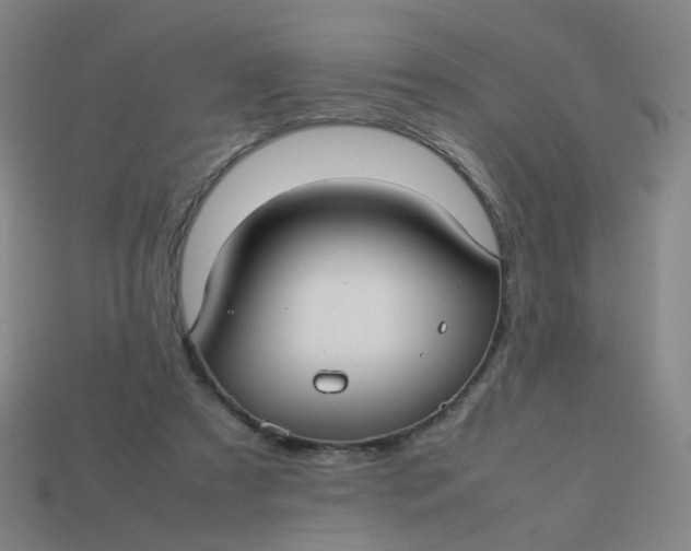 X0000113760305200910141054