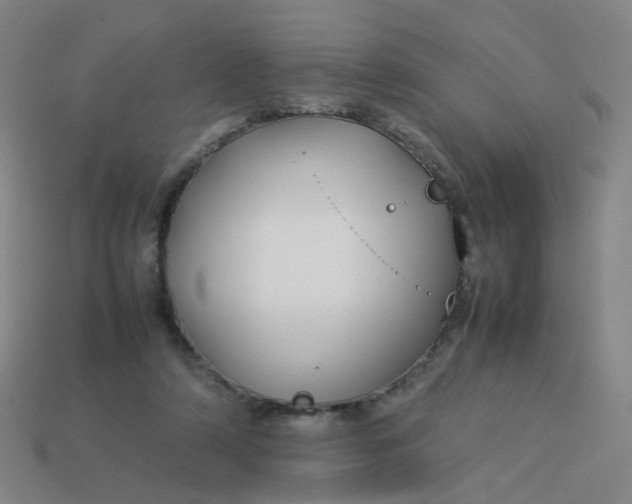 X0000113760306200910141054